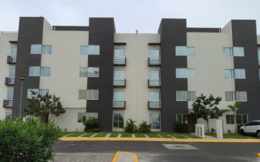 Departamento modelo Abeto